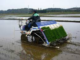 Rice Planting Machine